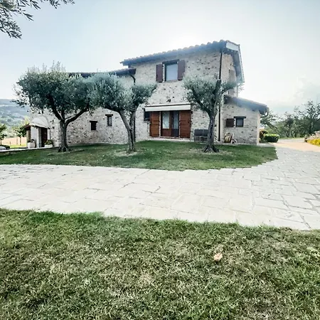 Casale G&c *