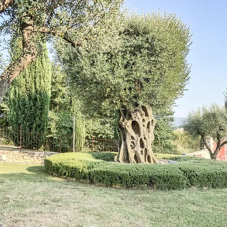 Casale G&c